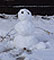 A hopeful young snowman waits for more snow.