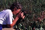 Photography student shooting wildflowers