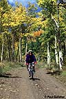 Mountain bikers with fall colors