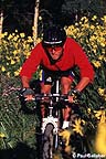 Mountain biker in wildflowers
