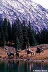 Mountain lake with horseback riders
