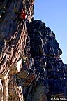 Rock climbing in Taylor Canyon