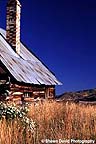 Old tin-roofed barn with fall grasses.