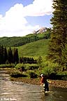 Fly fishing around Crested Butte