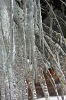 Winter icicles create hypnotic patterns