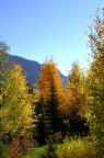 Blue skies and fall colors in Crested Butte