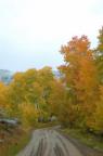 Fall in CB South
