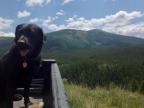 Brush Creek adventures in Crested Butte, Colorado!